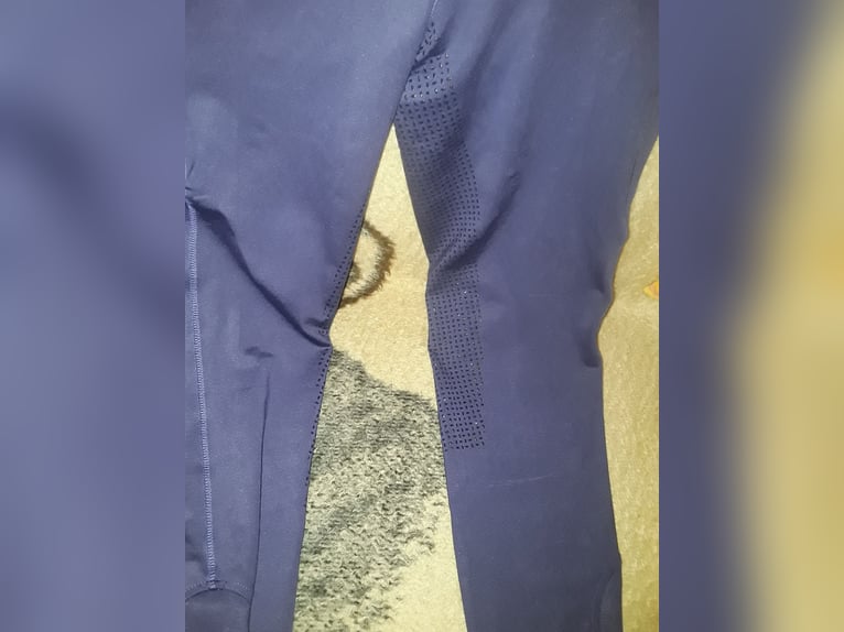 Sommer Reitleggins XXL 42/44 in lila, neu und ungetragen