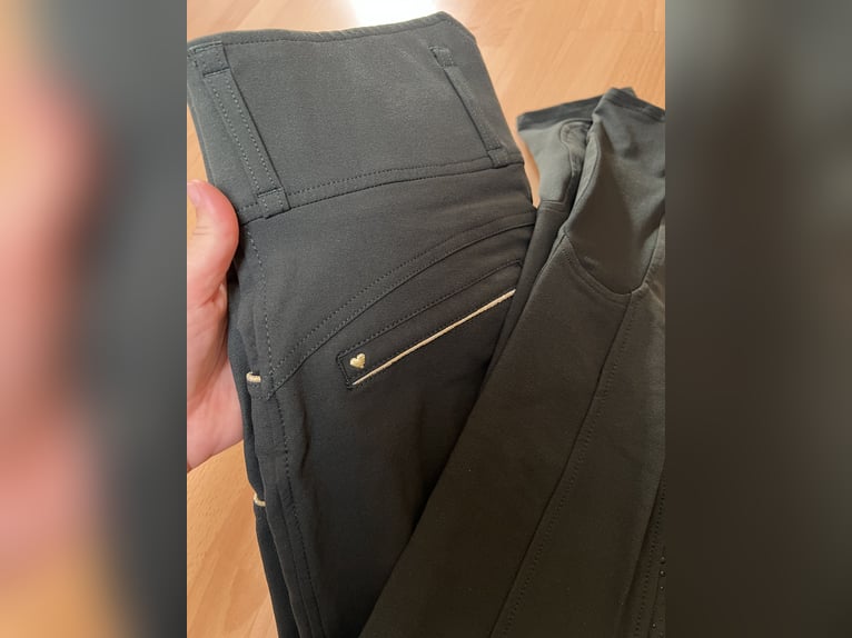 Spooks Reithose Annber Highwaist M - Dark Forrest - NEU