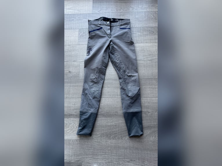 Spooks Reithose grau XS