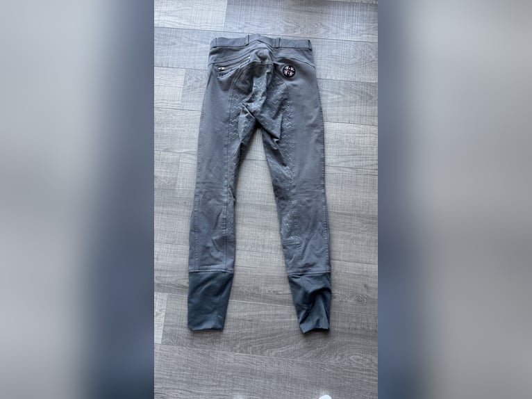 Spooks Reithose grau XS