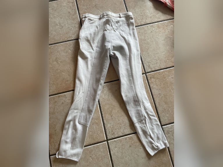 Tunierreithose 