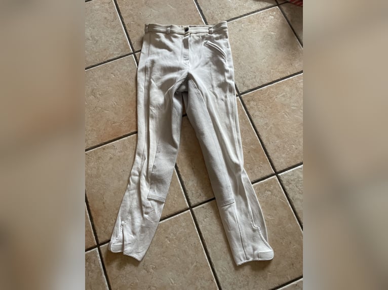 Tunierreithose 