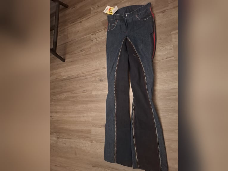 Verschiedene Marken-Reithosen NEU mit Etikett – HKM, Euro-Star, USG – Gr. 34 & 188