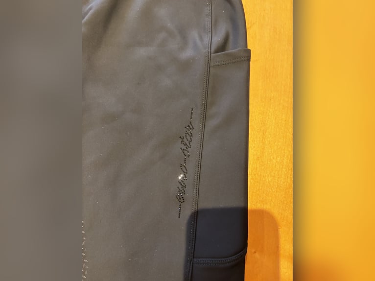 Verschiedene Reitleggins in 40/44/46