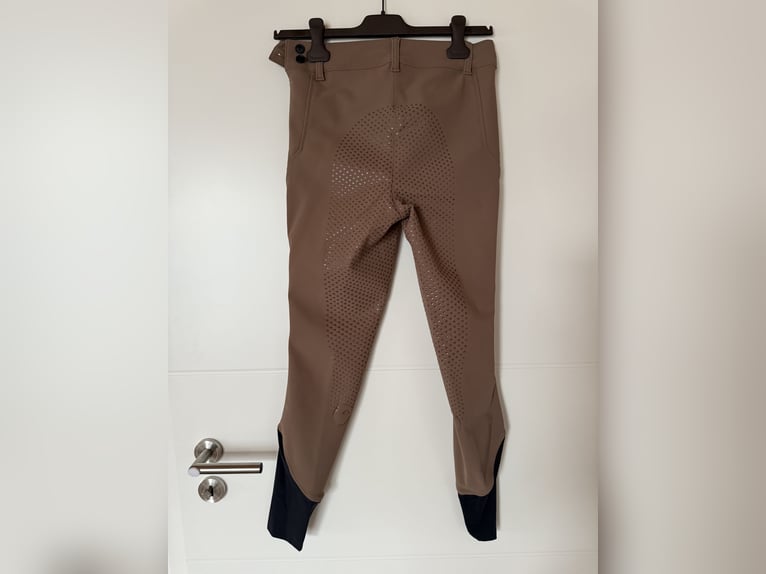 Vestrum Reithose Vollbesatz