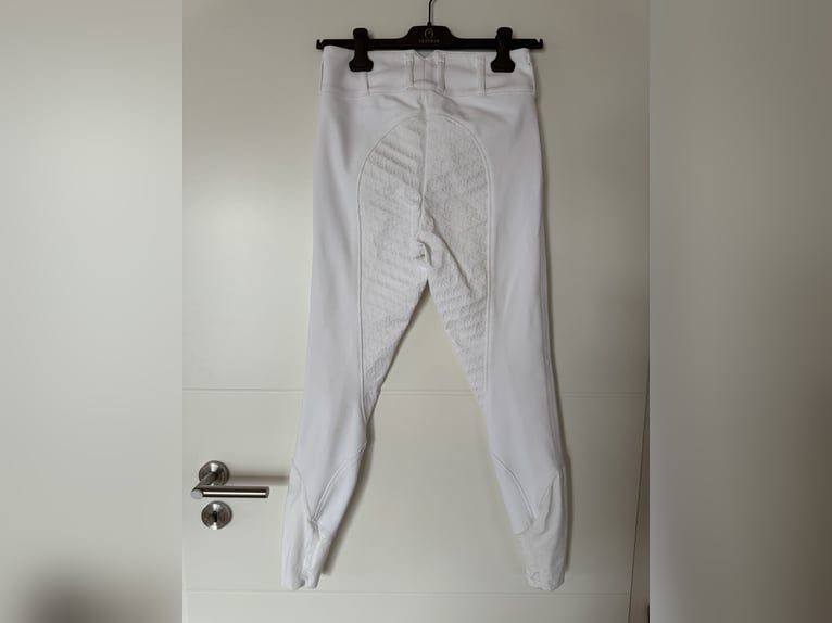 Vestrum Reithose weiß Vollbesatz Turnierreithose weiß