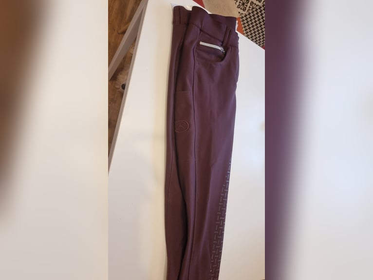 Winterreithose Gr. 38, aber klein geschnitten