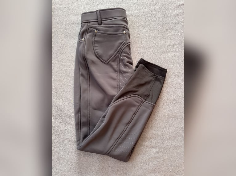 Winterreithose grau Eurostar Größe 40 Winterreithose grau Eurostar Größe 40