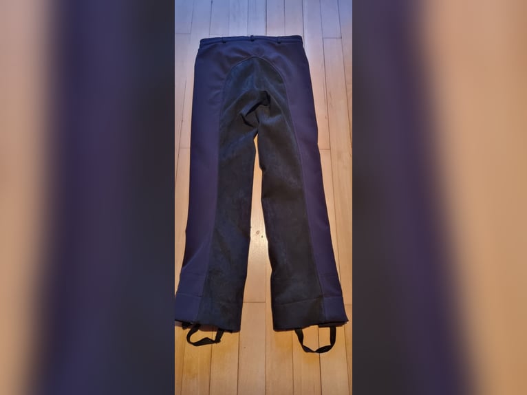 Winterreithose Jodhpurreithose 