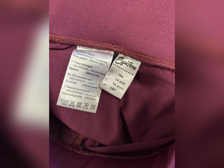 Tolle Reitleggins von Equilibre in 164