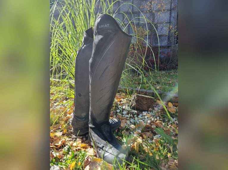 Ariat Ascent Tall riding Boot  Ariat Ascent Tall riding Boot