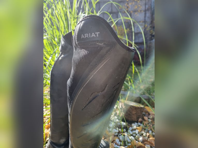 Ariat Ascent Tall riding Boot  Ariat Ascent Tall riding Boot