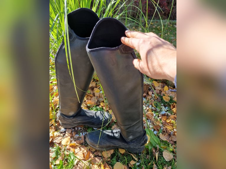 Ariat Ascent Tall riding Boot  Ariat Ascent Tall riding Boot