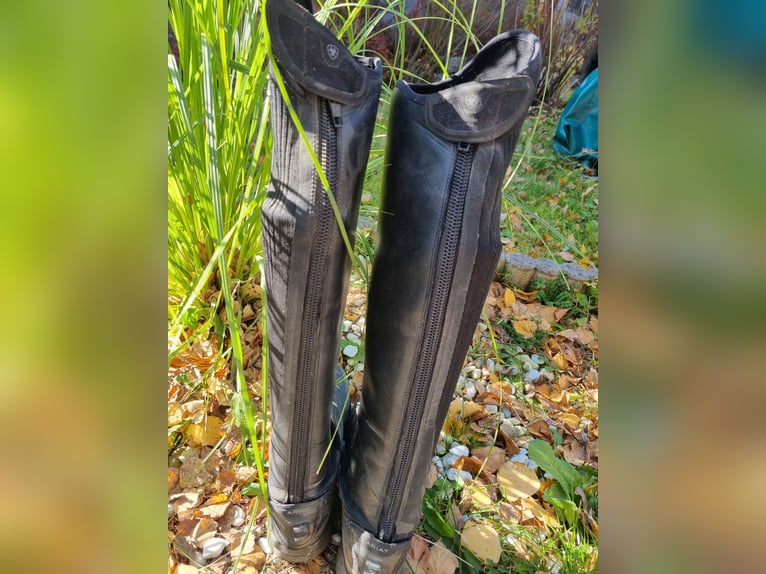 Ariat Ascent Tall riding Boot  Ariat Ascent Tall riding Boot