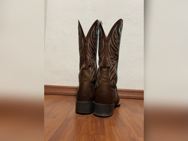Ariat Boots Größe 42,5