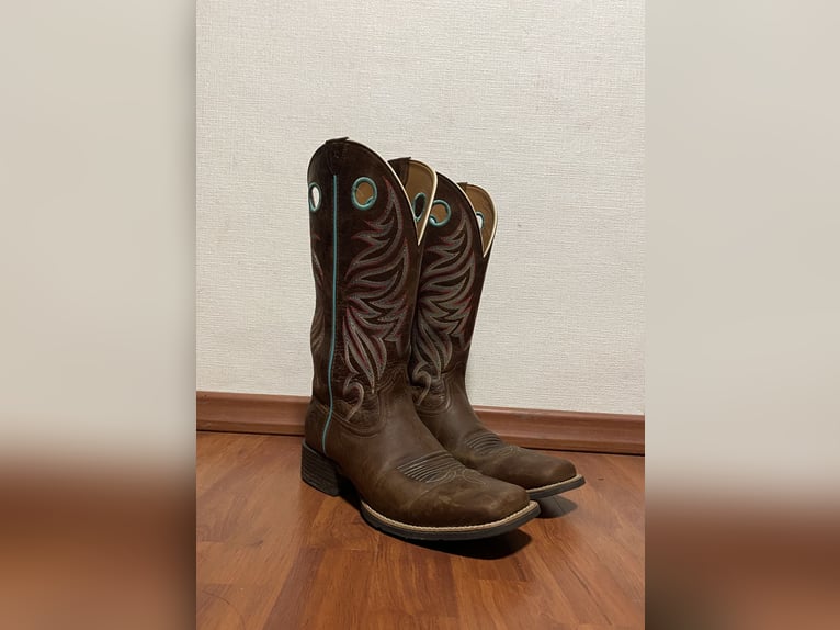 Ariat Boots Größe 42,5