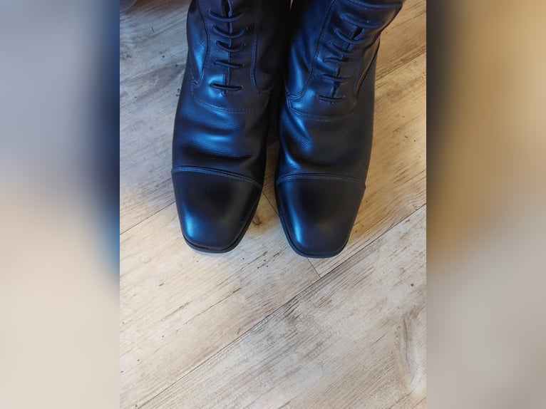 Ariat Monaco Zip Kalbleder Gr. 41,5 / 46/ 37