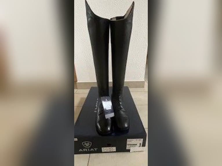 Ariat Palisade in Braun, 37.5  45/34 NAGELNEU mit Originalkarton