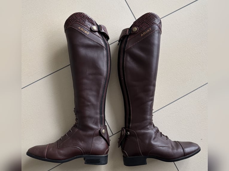 Ariat Palisade Reitstiefel braun/croco, Gr. 38, Neuwertig