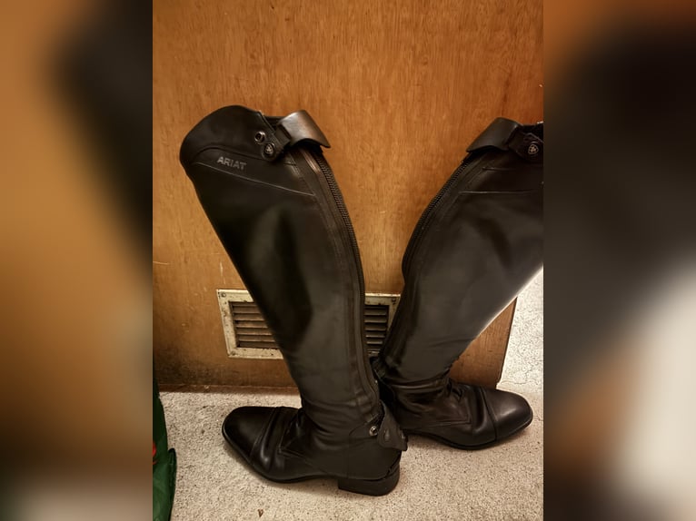 Ariat Reitstiefel
