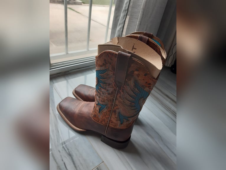 ARIAT WMS Pinto Venttek 360 Western Boot
