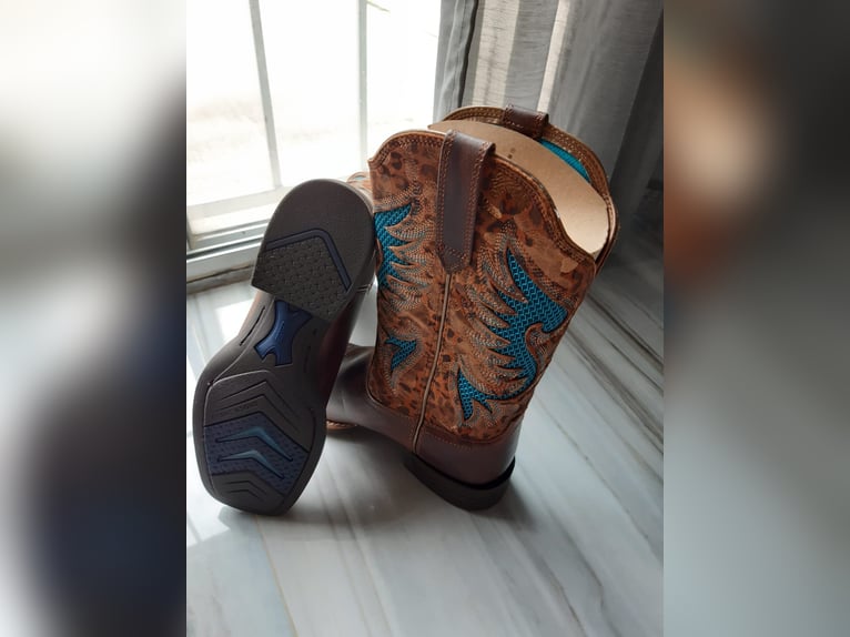 ARIAT WMS Pinto Venttek 360 Western Boot