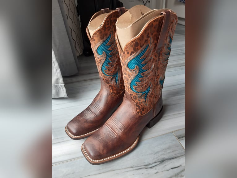 ARIAT WMS Pinto Venttek 360 Western Boot