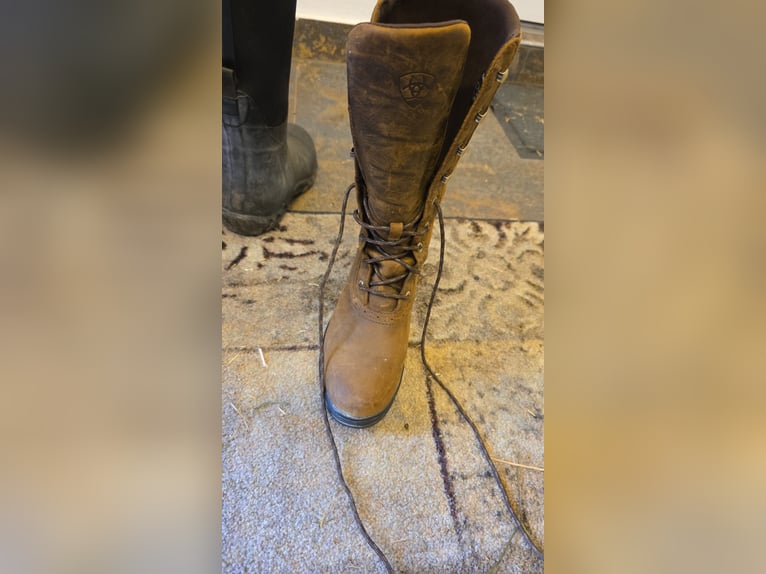 Ariat Wythburn H2O Reitstiefel Gr. 37