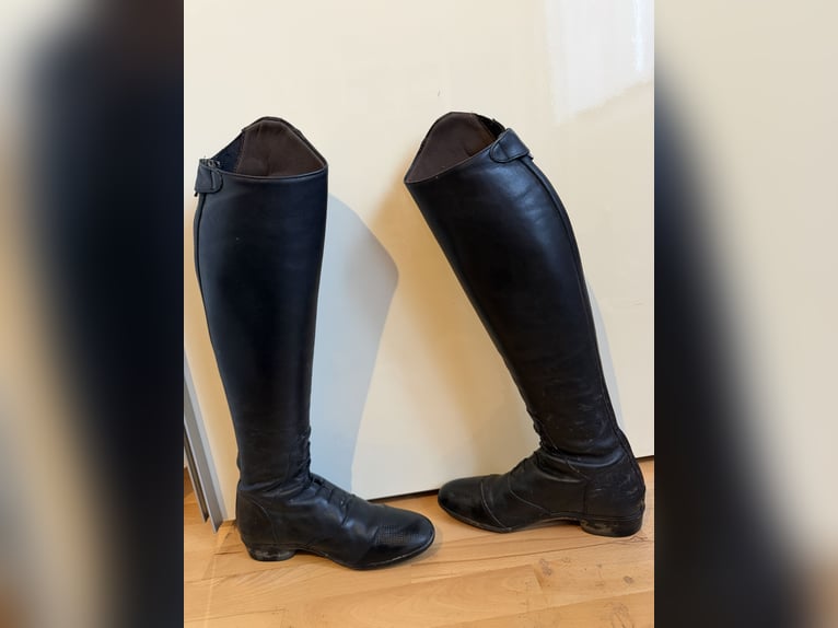 Black Forest Reitstiefel im Guten gebrauchten Zustand.