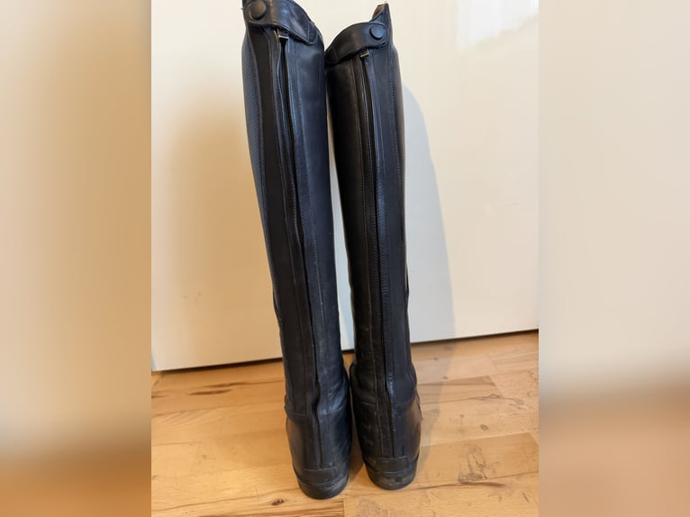 Black Forest Reitstiefel im Guten gebrauchten Zustand.