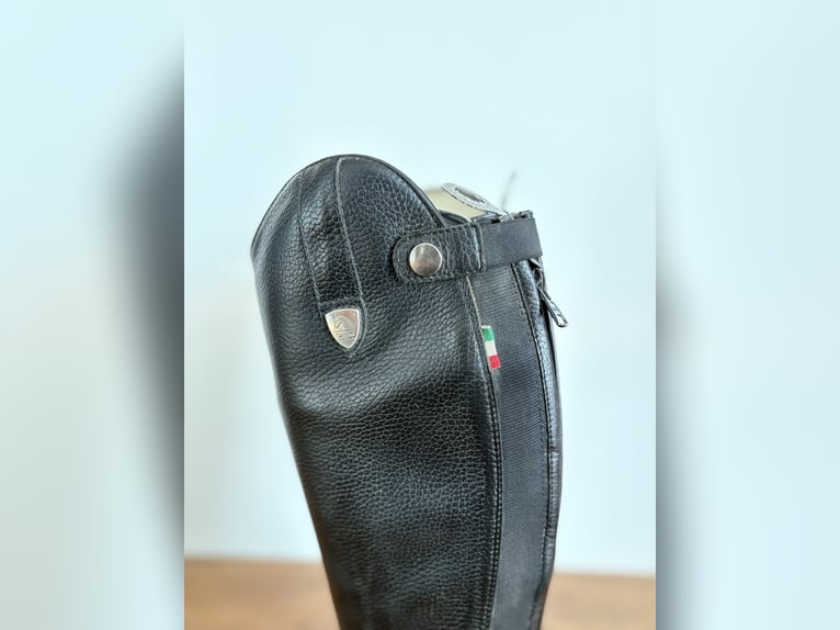 Bretonischer junger Tattini-Stiefel