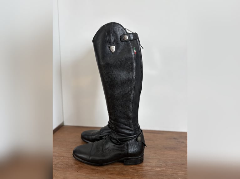 Bretonischer junger Tattini-Stiefel