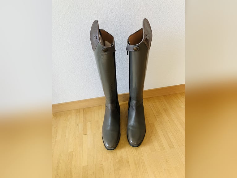 Busse Laval in wunderschönem Grau