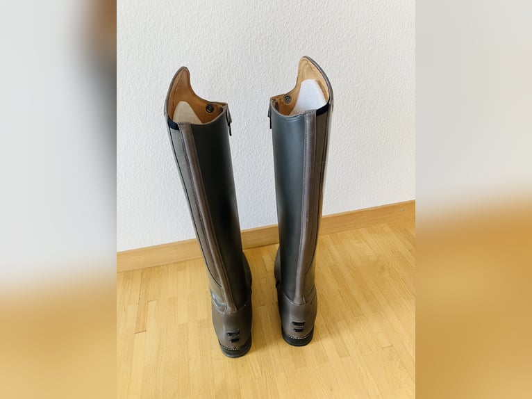 Busse Laval in wunderschönem Grau