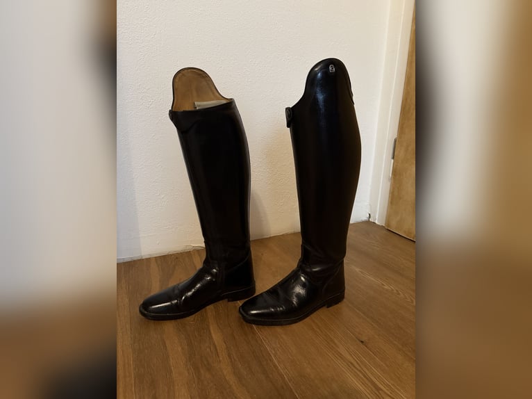 Cavallo - Dressurstiefel INSIGNIS (Gr.5)