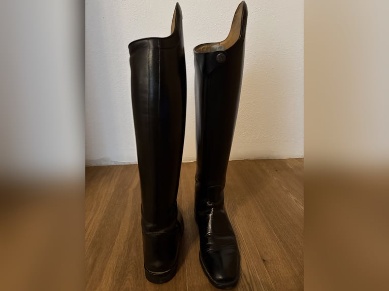 Cavallo - Dressurstiefel INSIGNIS (Gr.5)