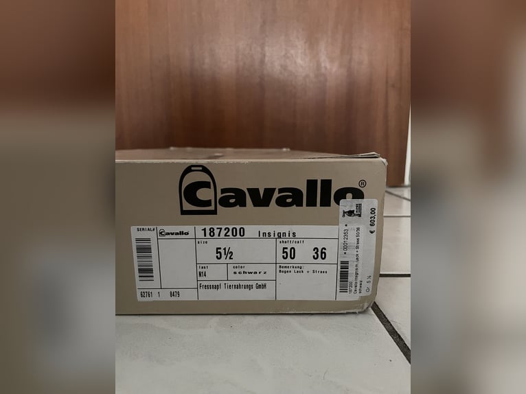Cavallo Insignid 5 1/2