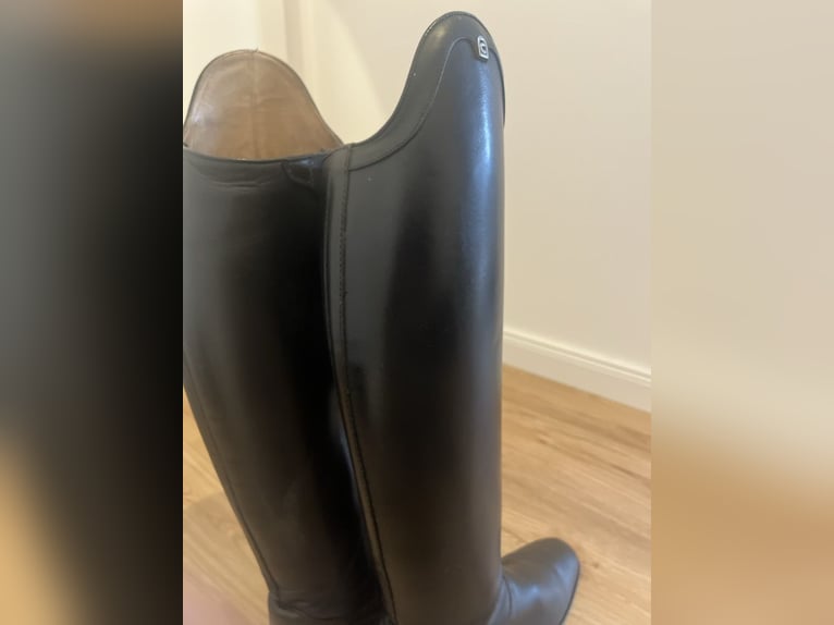 Cavallo Insignis Reitstiefel