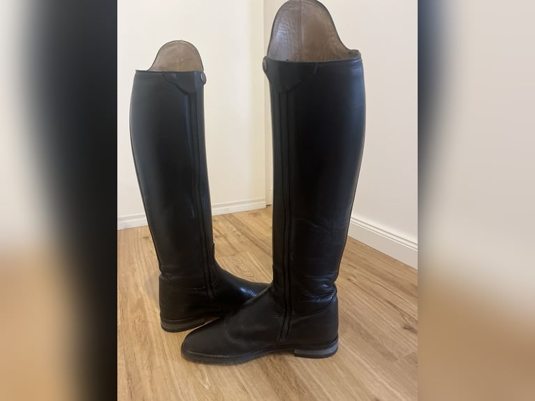 Cavallo Insignis Reitstiefel
