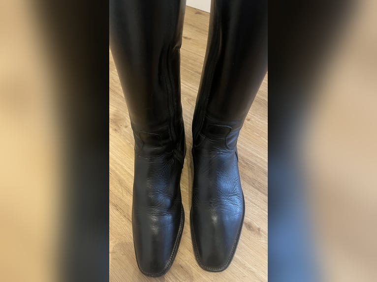 Cavallo Insignis Reitstiefel