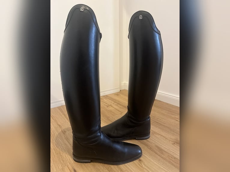 Cavallo Insignis Reitstiefel