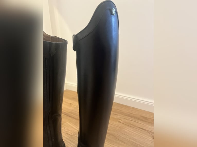 Cavallo Insignis Reitstiefel