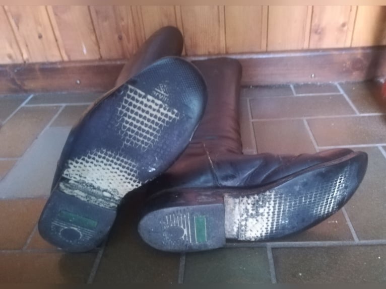 Cavallo Lederreitstiefel