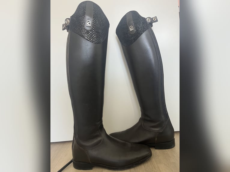 Cavallo Linus Dressur braun 
