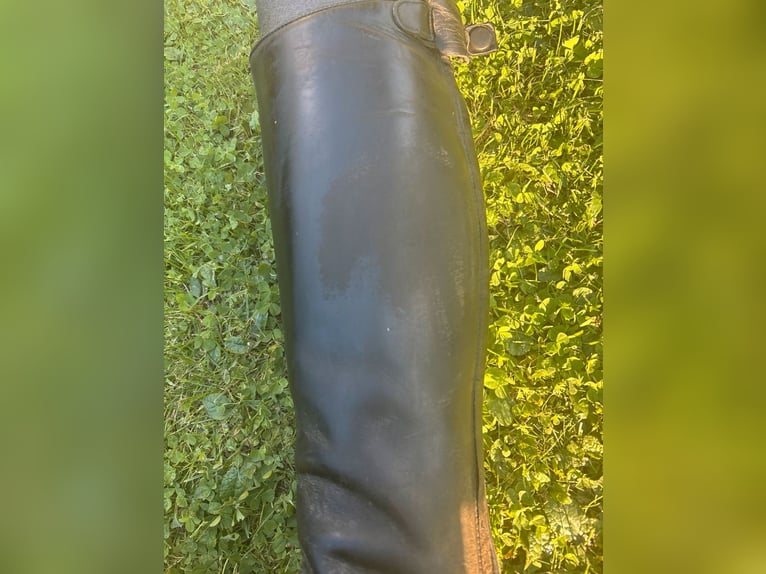 Cavallo Linus Slim Reitstiefel Cavallo Linus Slim Reitstiefel