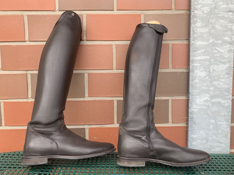 Cavallo Reitstiefel Braun