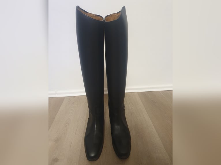 Cavallo Reitstiefel Gr.38,NEU mit Karton