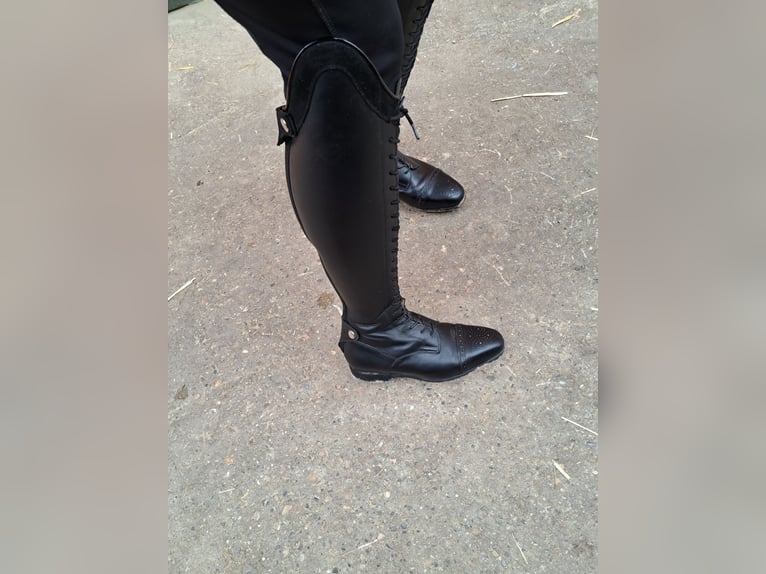 Celeris Modell Rita Gr 37