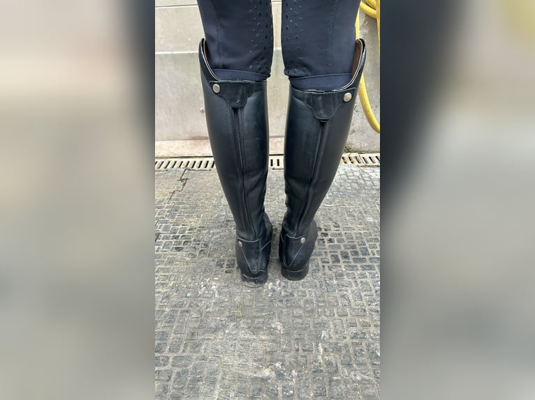 Celeris Modell Rita Gr 37