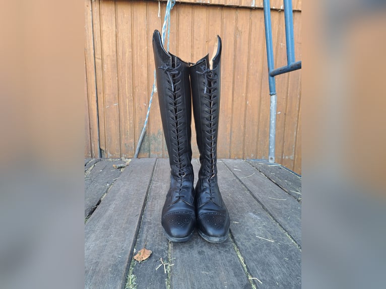 Celeris Modell Rita Gr 37